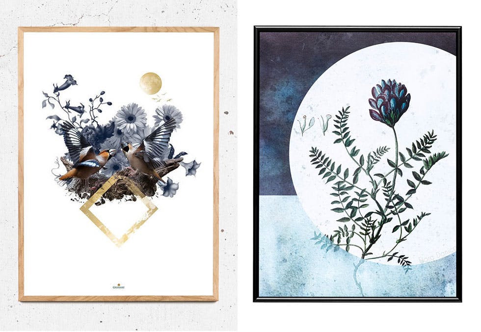 Botaniske motiver til veggen Blomsterbilder